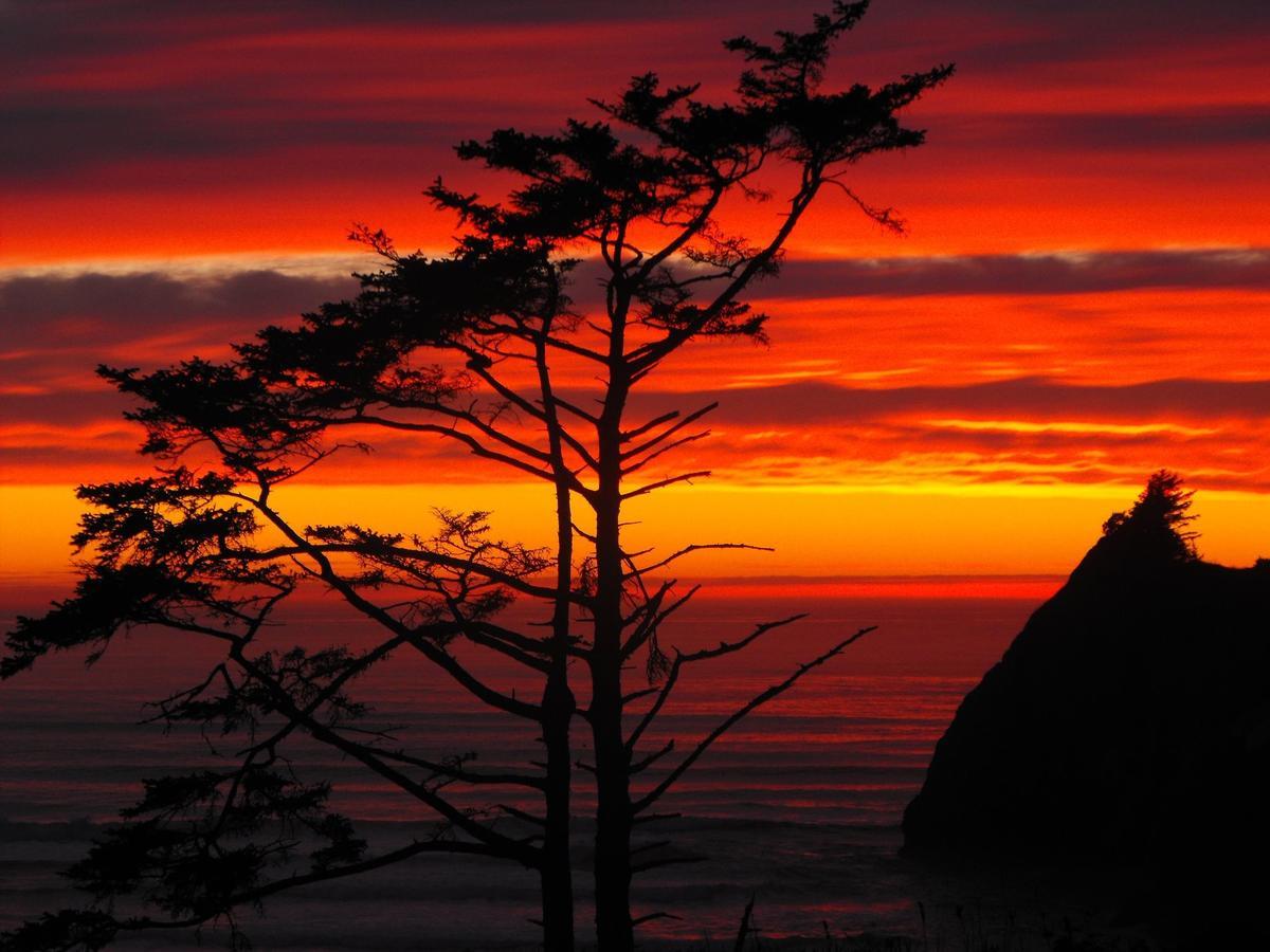Agate Beach Motel Newport Luaran gambar